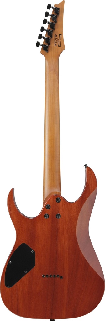 Ibanez - Guitarra Eléctrica Gio Rg Entintado Negro Mod.GRGR221FA-TDK_1