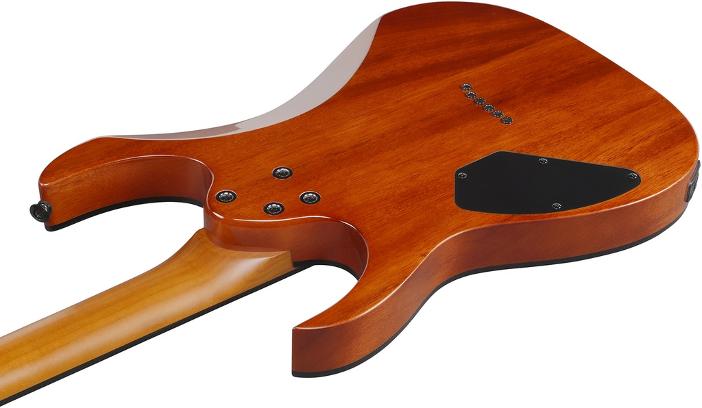 Ibanez - Guitarra Eléctrica Gio Rg Entintado Negro Mod.GRGR221FA-TDK_2