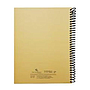 Vicent Bach - Cuaderno Profesional de 100 Hojas, 80 Pautadas y 20 Rayadas Mod.VBCP10_94