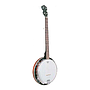 Caraya - Banjo de 5 Cuerdas y 18 Templadores, Color: Caoba Mod.BJ-008_2