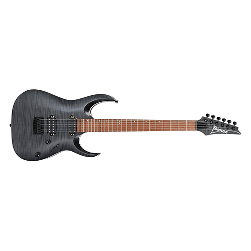 Ibañez - Guitarra Eléctrica RGA, Color: Gris Transparente Mate Mod.RGA42FM-TGF_5