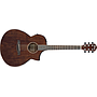 Ibañez - Guitarra Electroacústica AEW, Color: Natural Mod.AEW40CD-NT_299